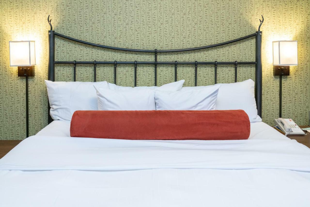 Hotel Caribou And 3*